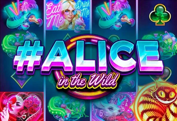 Casino gaming image