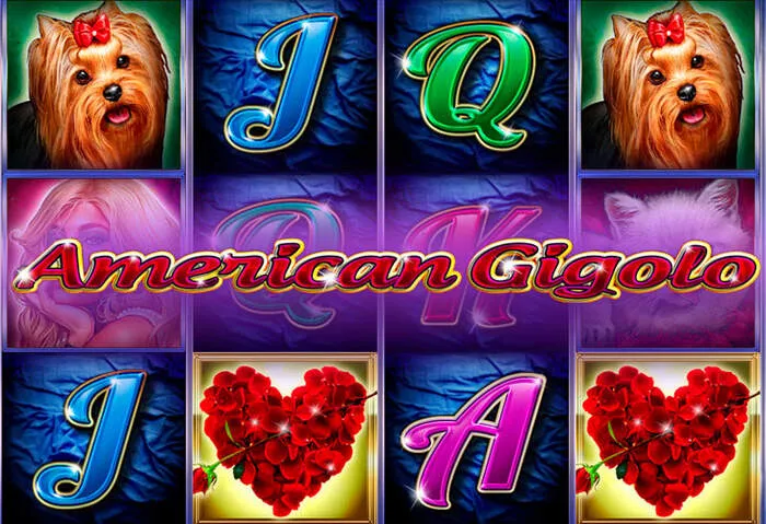 Installiere die Lucky Pari Casino App für Android und iPhone