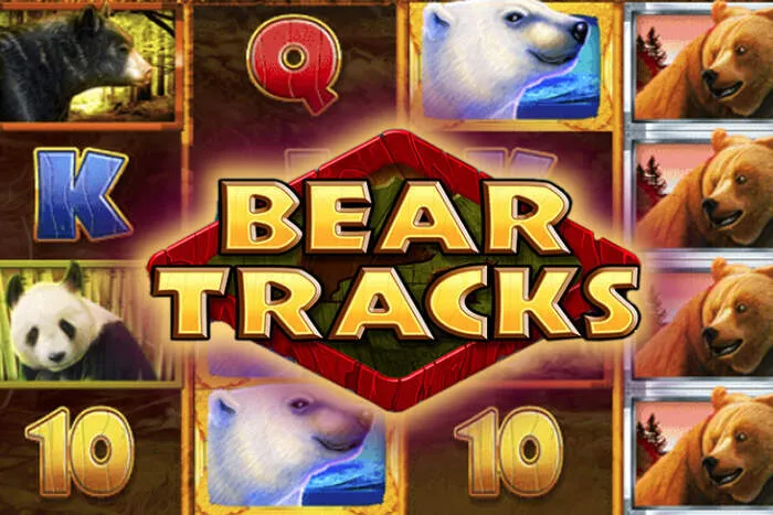 Lee nuestra Lucky Pari Casino Tragamonedas reseña.