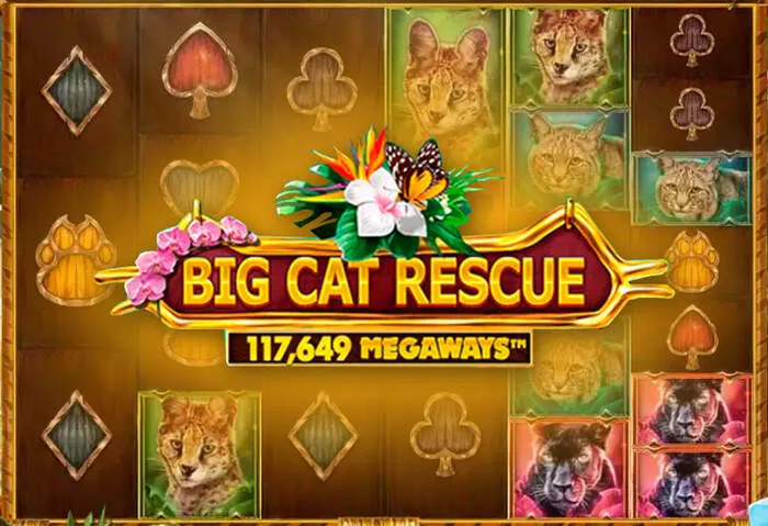 Términos del Bono De Lucky Pari Casino, claros.